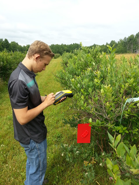 Monitoring invasive species